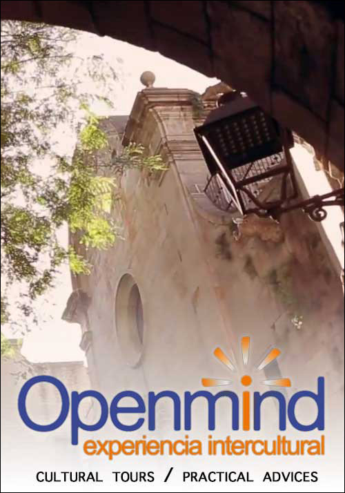 Openmind