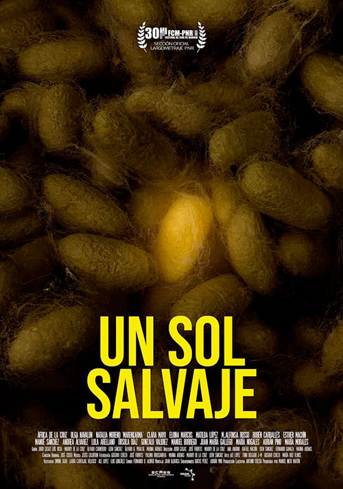 Un Sol Salvaje